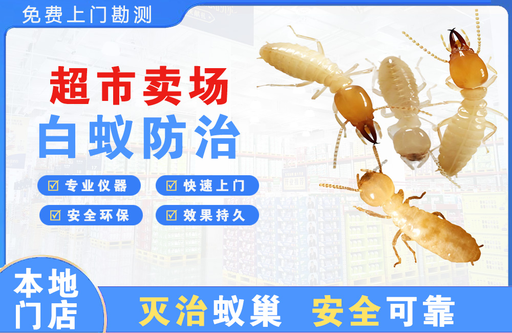 渝北超市卖场白蚁防治