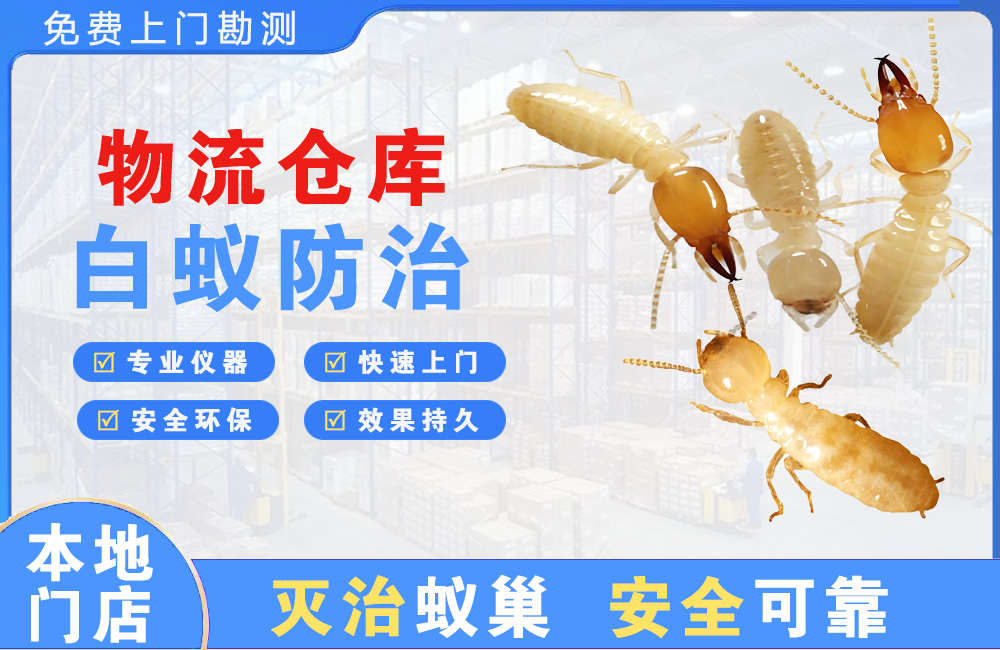 渝北物流仓库白蚁防治