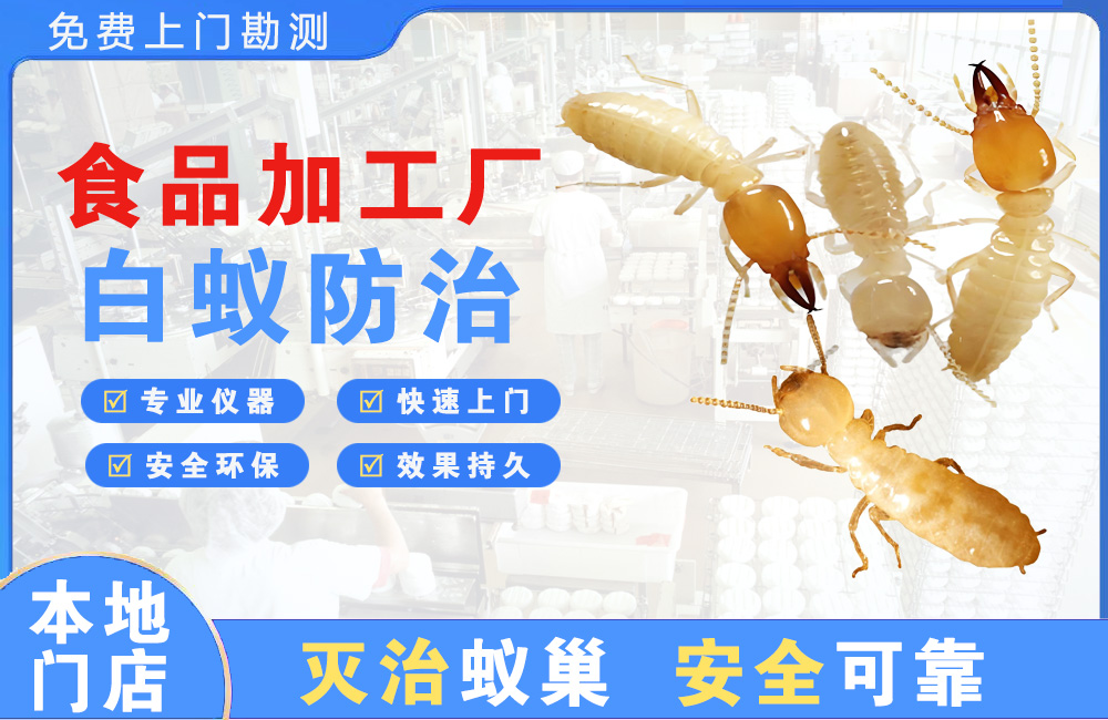 渝北食品加工厂白蚁防治