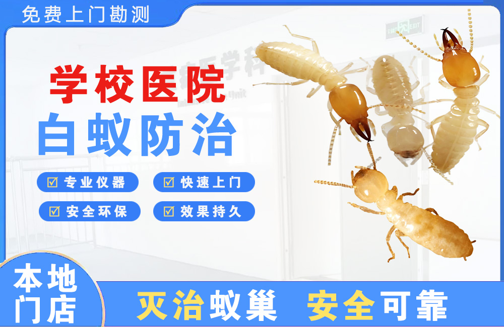 渝北学校医院白蚁防治