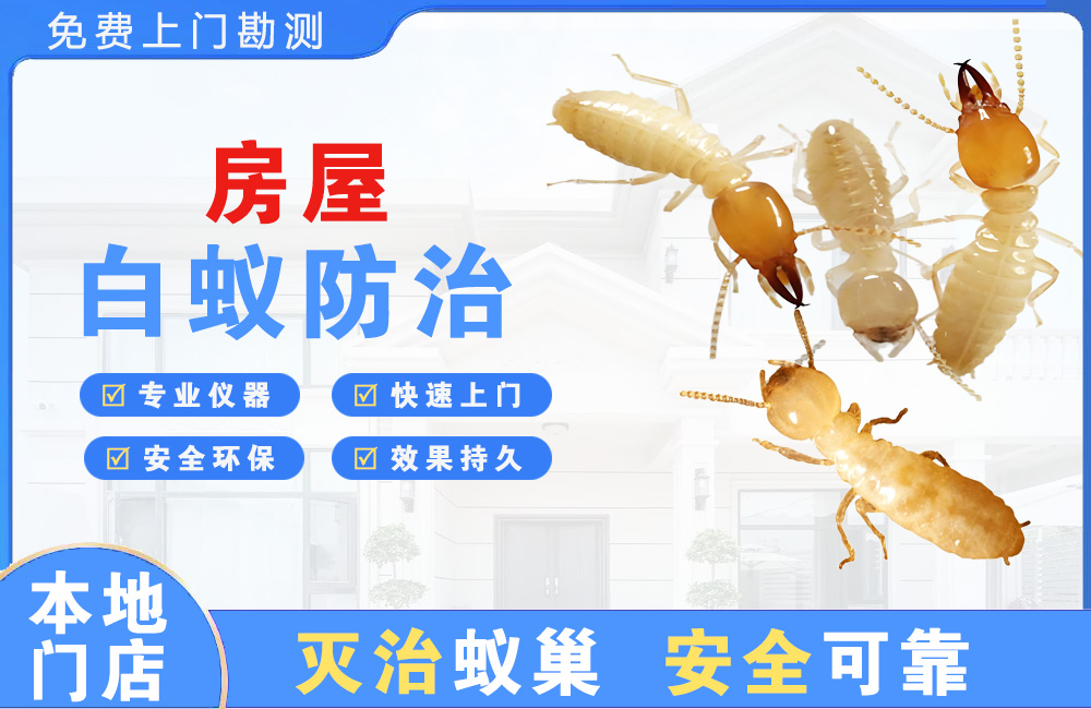渝北房屋白蚁防治
