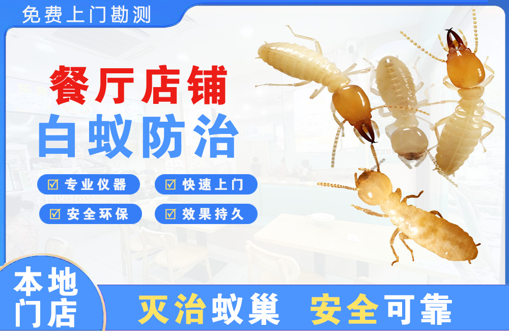渝北餐厅店铺白蚁防治